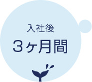 入社後3ヵ月間